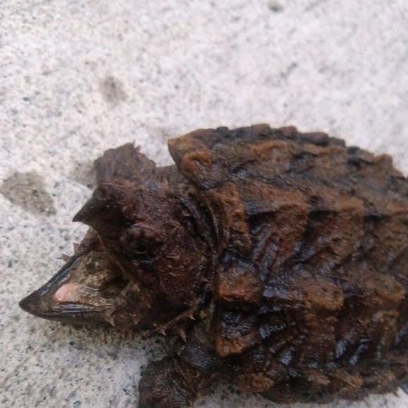 Meet your Posher, Matthew - Picture 1 of 1